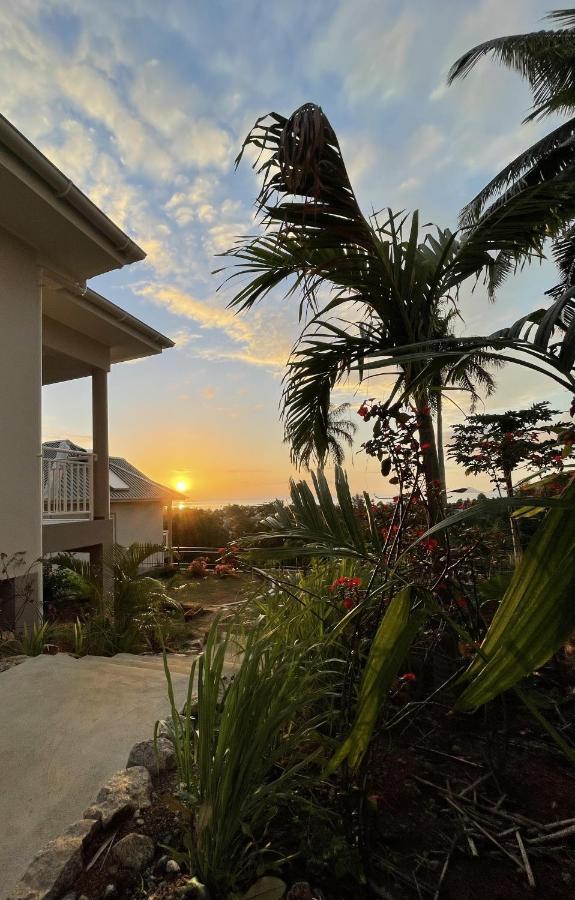 La Trouvaille Aparthotel Anse a La Mouche Buitenkant foto