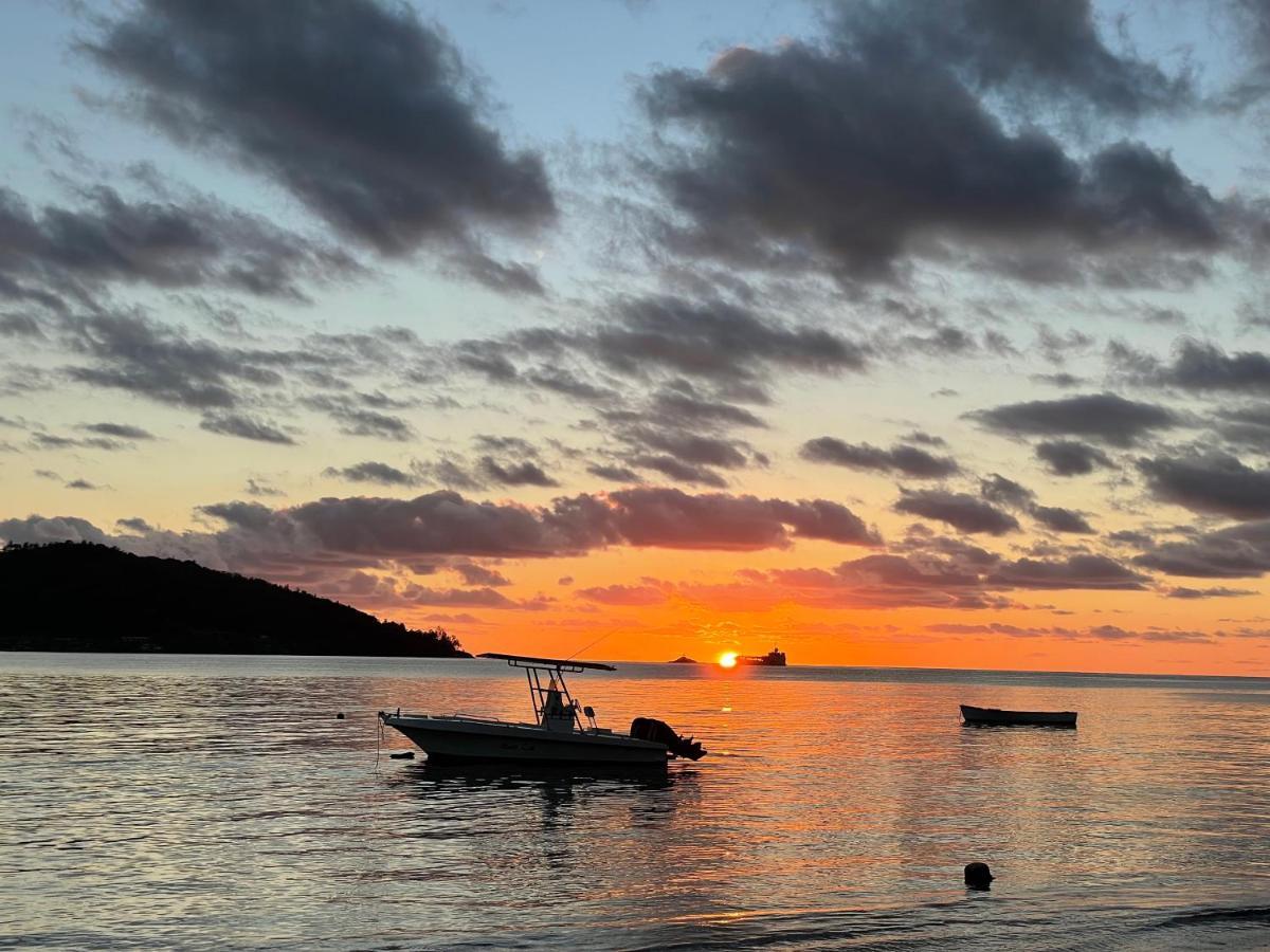 La Trouvaille Aparthotel Anse a La Mouche Buitenkant foto