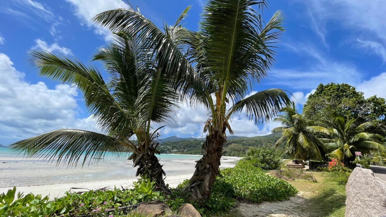 La Trouvaille Aparthotel Anse a La Mouche Buitenkant foto