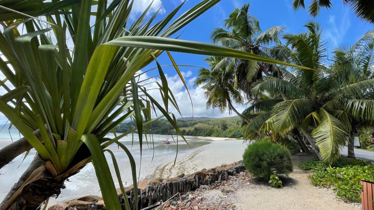 La Trouvaille Aparthotel Anse a La Mouche Buitenkant foto