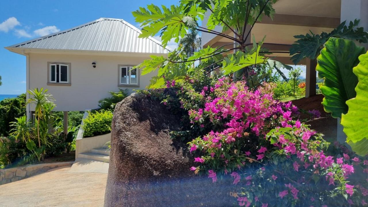 La Trouvaille Aparthotel Anse a La Mouche Buitenkant foto