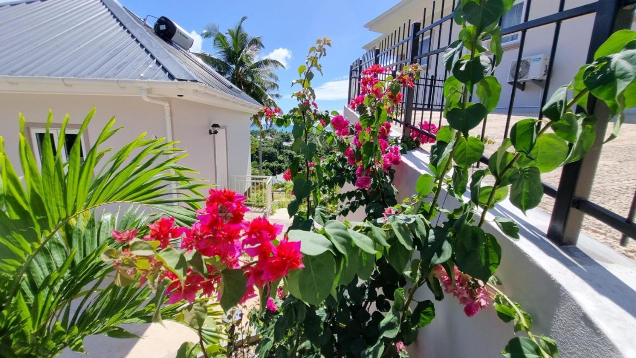 La Trouvaille Aparthotel Anse a La Mouche Buitenkant foto