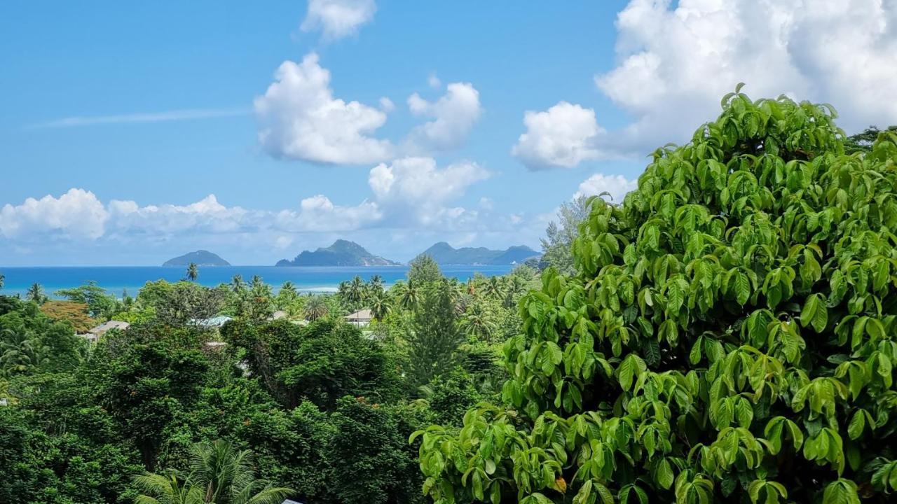 La Trouvaille Aparthotel Anse a La Mouche Buitenkant foto