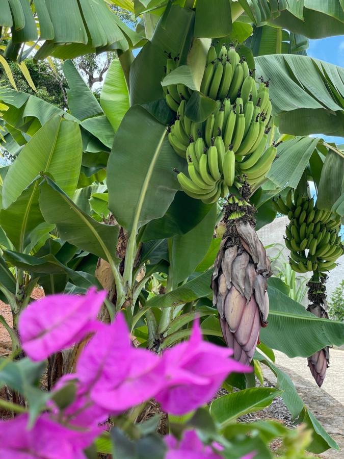 La Trouvaille Aparthotel Anse a La Mouche Buitenkant foto