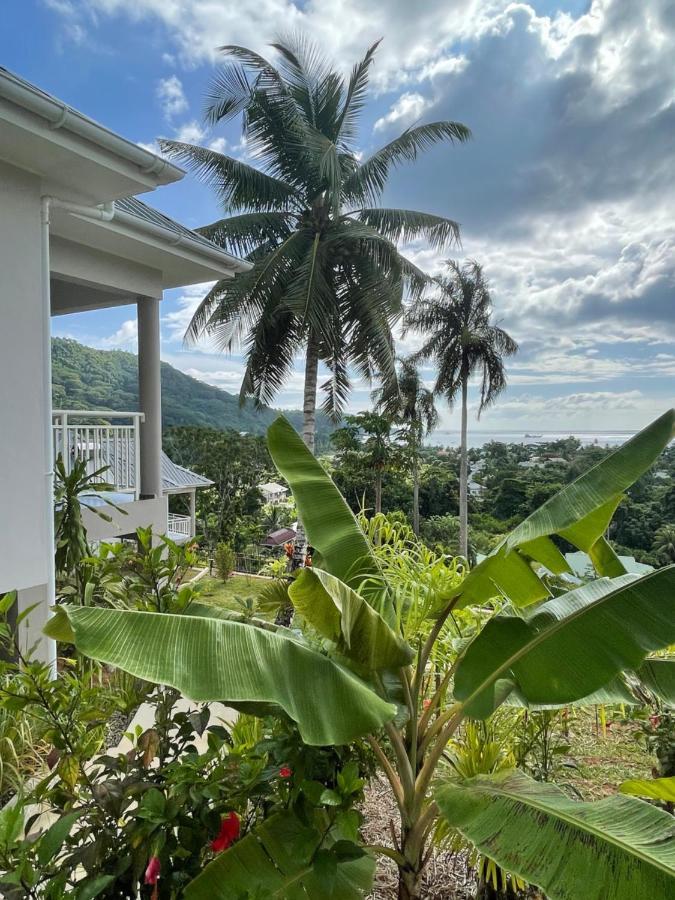 La Trouvaille Aparthotel Anse a La Mouche Buitenkant foto