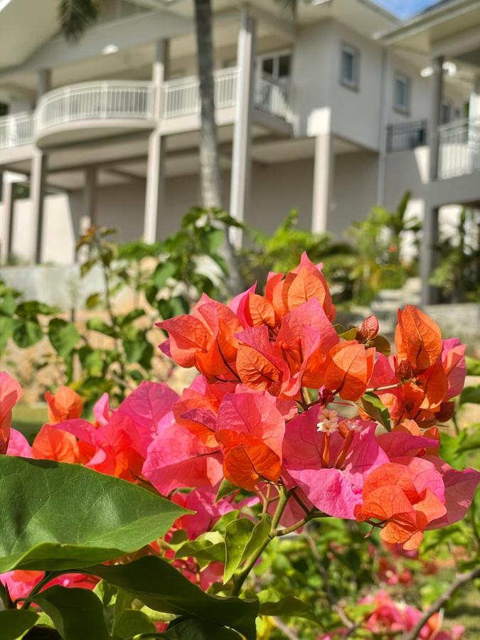 La Trouvaille Aparthotel Anse a La Mouche Buitenkant foto