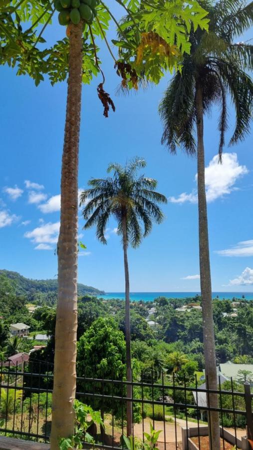 La Trouvaille Aparthotel Anse a La Mouche Buitenkant foto