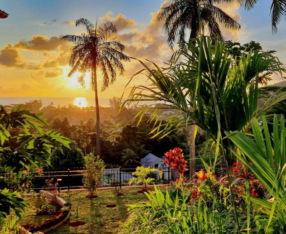 La Trouvaille Aparthotel Anse a La Mouche Buitenkant foto