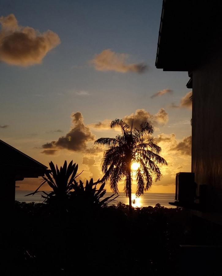 La Trouvaille Aparthotel Anse a La Mouche Buitenkant foto