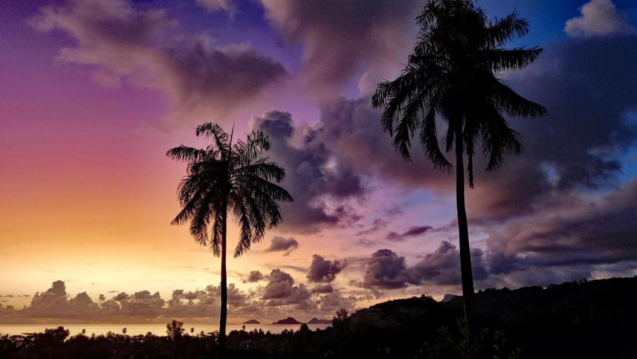 La Trouvaille Aparthotel Anse a La Mouche Buitenkant foto