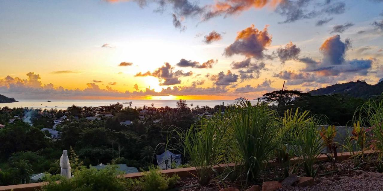 La Trouvaille Aparthotel Anse a La Mouche Buitenkant foto