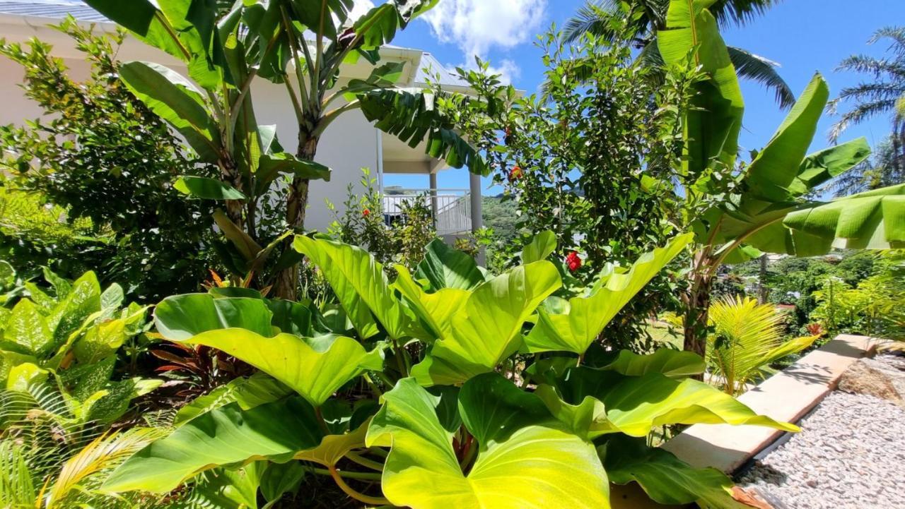 La Trouvaille Aparthotel Anse a La Mouche Buitenkant foto